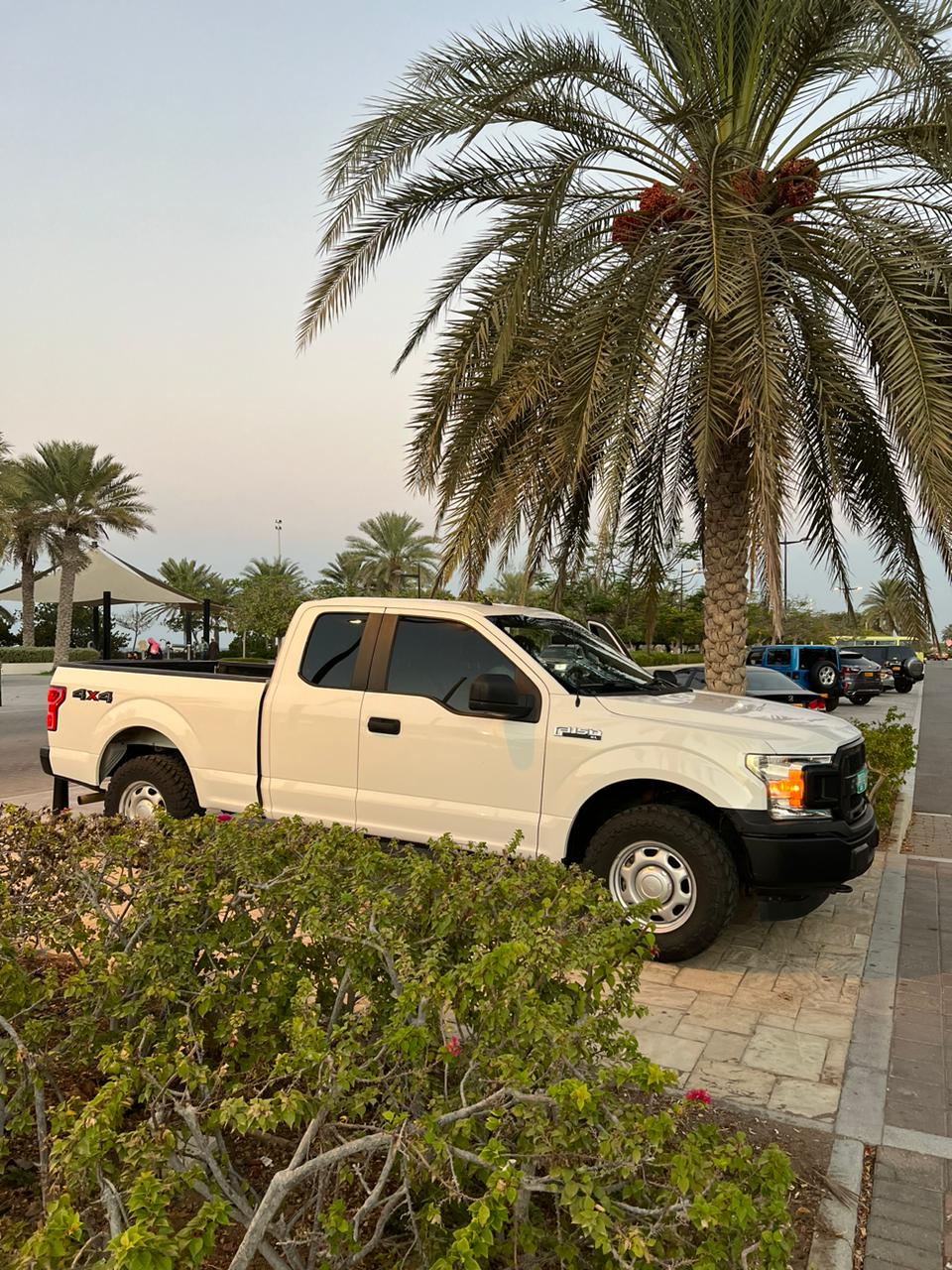 فورد f150 فورويل 2019