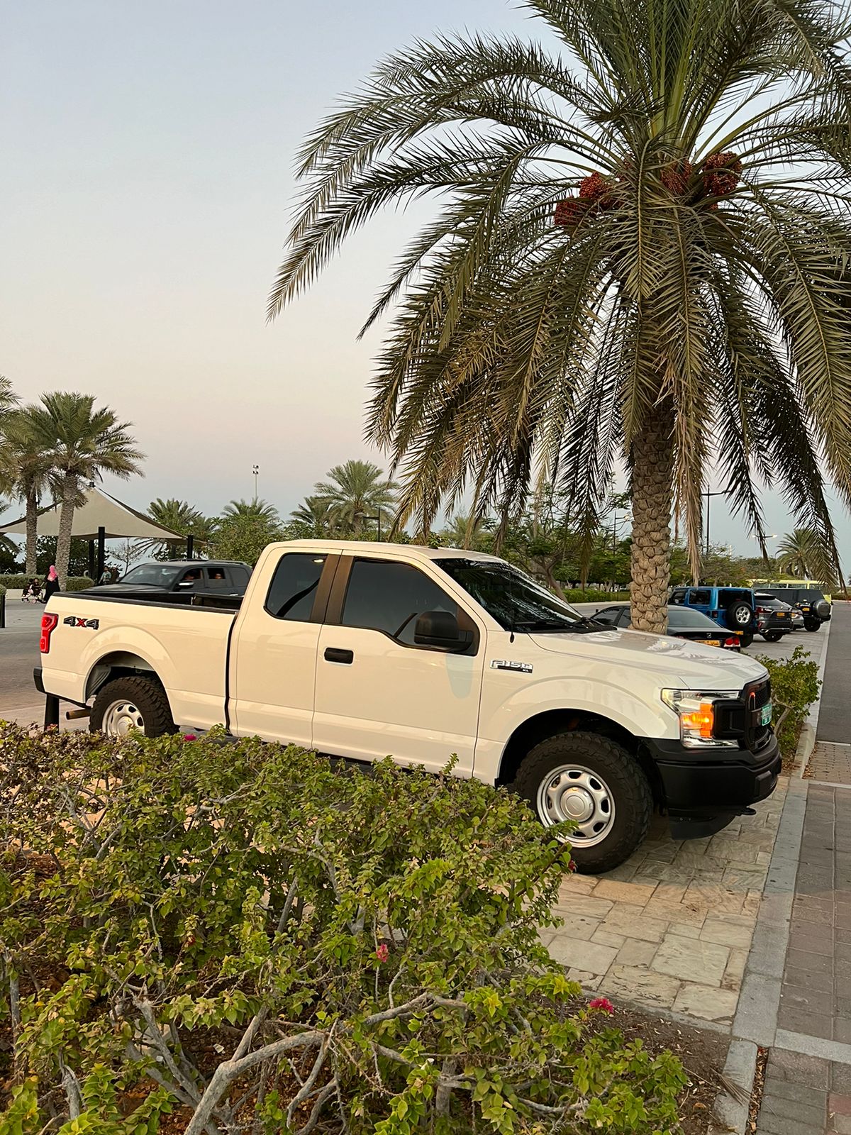 فورد f150 فورويل 2019