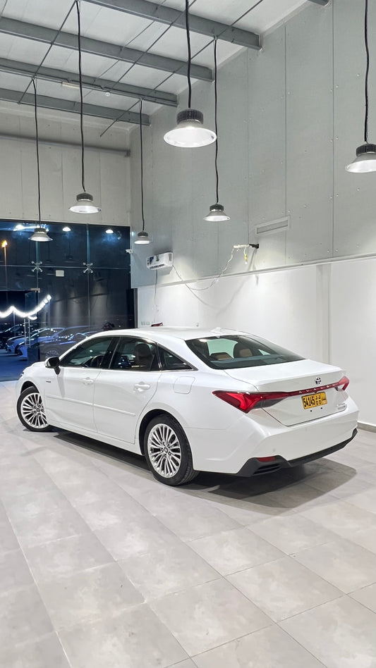 Avalon limited h 2019