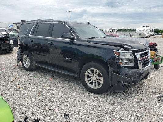 Taho Lt 2019